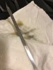 IMG_3974.jpeg