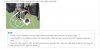 brake calliper assembly.JPG