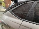 IMG_8185.jpeg