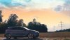 padigree's-2016x1134.jpg