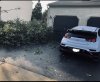 090CD0CE-8985-4D89-8DC9-A0EDCD18D02D.jpeg 090CD0CE-8985-4D89-8DC9-A0EDCD18D02D.jpeg